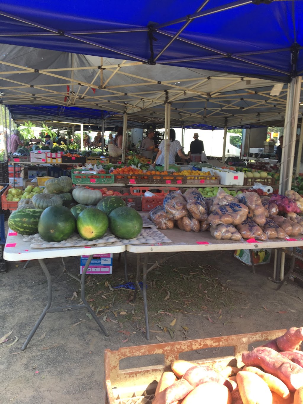 Yandina Markets - Saturday |  | North St, Yandina QLD 4561, Australia | 0448990061 OR +61 448 990 061
