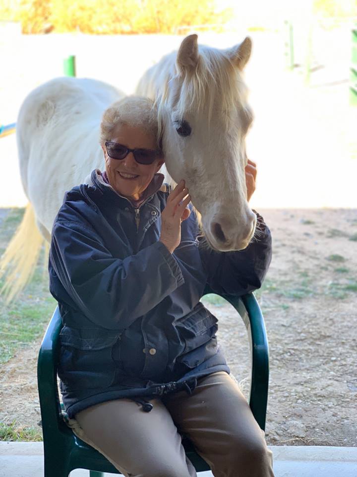 Horses Teaching Humans | health | Rubyvale, Laggan NSW 2583, Australia | 0248373397 OR +61 2 4837 3397