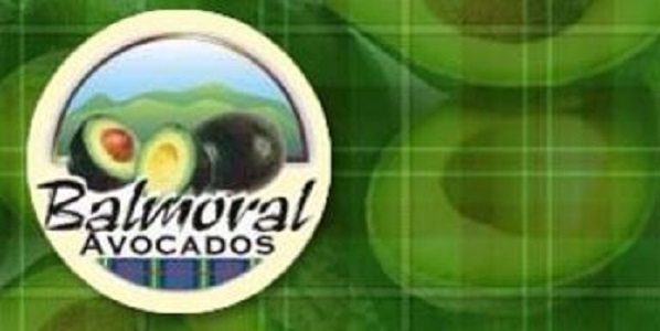 Balmoral Avocados Australia |  | 160 Evans Road East, Cabarlah QLD 4352, Australia | 0746966388 OR +61 7 4696 6388