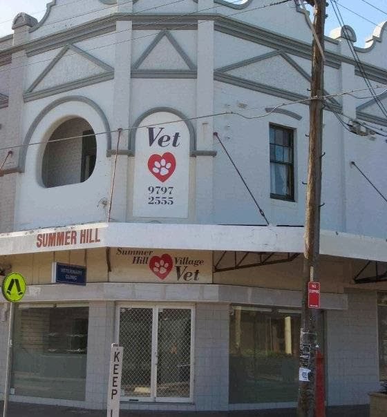 Summer Hill Village Vet | 29 Grosvenor Cres, Summer Hill NSW 2130, Australia | Phone: (02) 9797 2555