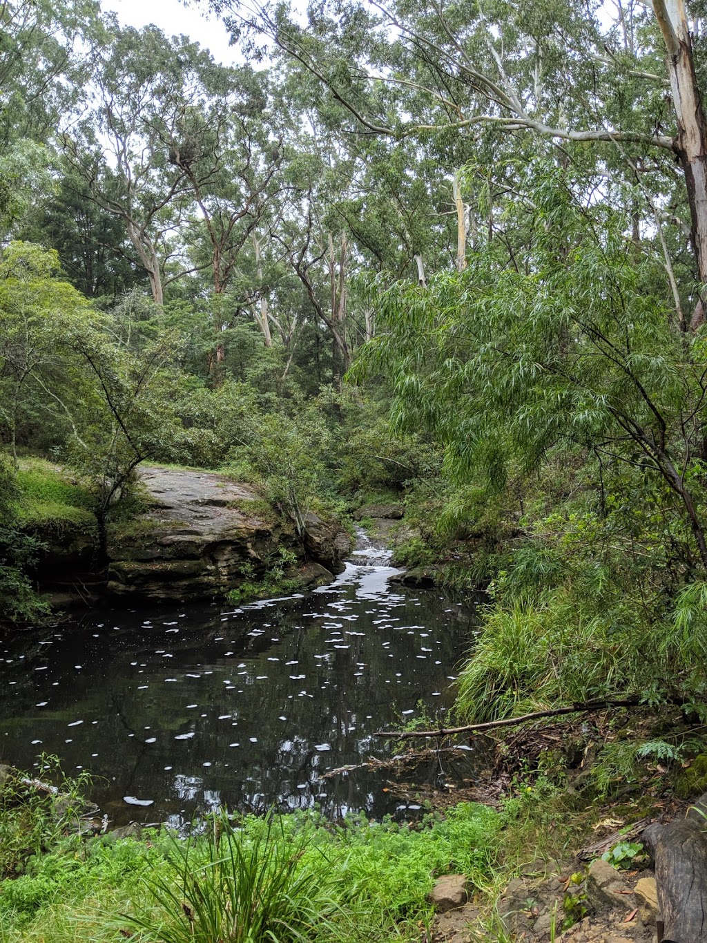 John Curtin Reserve | Winston Hills NSW 2153, Australia
