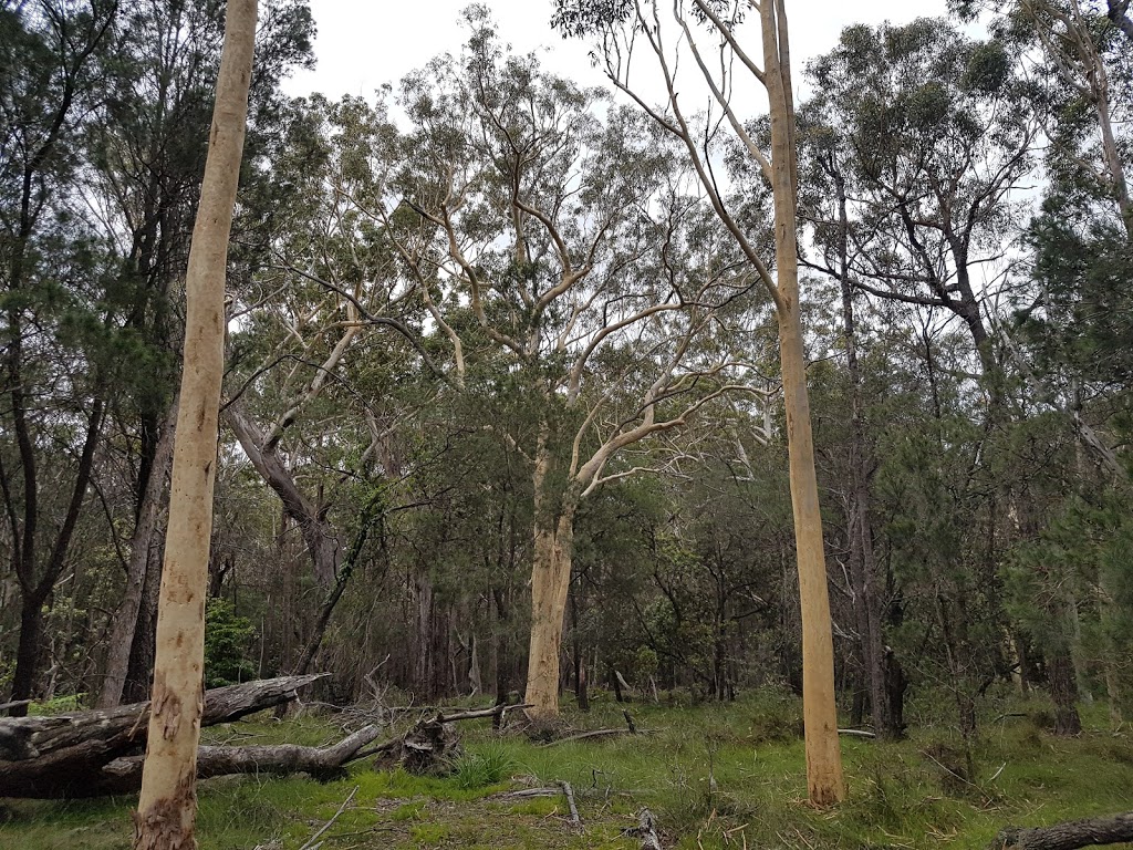 Narrawallee Creek Nature Reserve | park | Lake Conjola NSW 2539, Australia