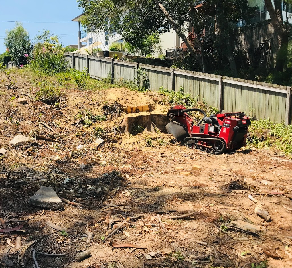 Extreme Stump Grinding | 124 Pub Ln, Greenbank QLD 4124, Australia | Phone: 0477 702 912