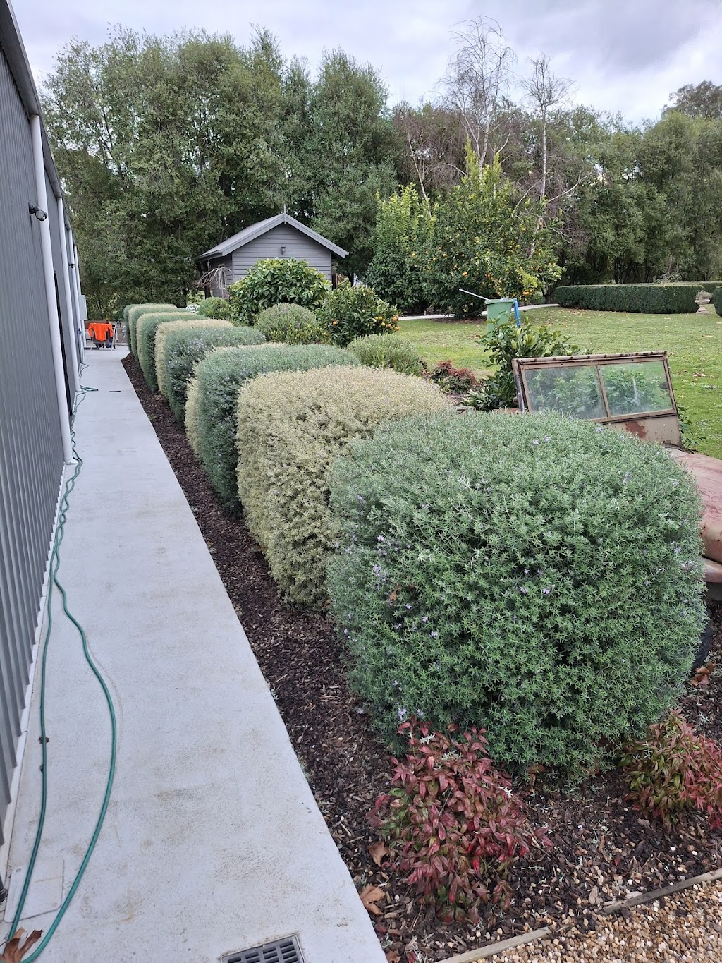 Leggos Lawn Mowing and Garden Maintenance | 64 Lovell Dr, Warragul VIC 3820, Australia | Phone: 0458 035 582