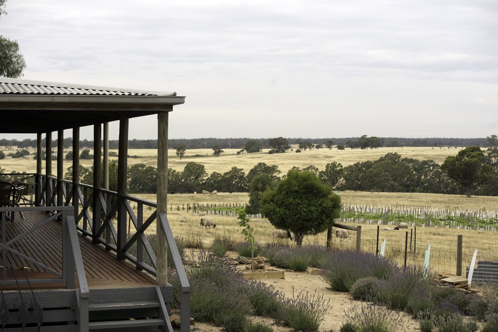 Axedale Farm Cottage & Vineyard | lodging | 310 Canny Rd, Axedale VIC 3551, Australia | 0409805951 OR +61 409 805 951