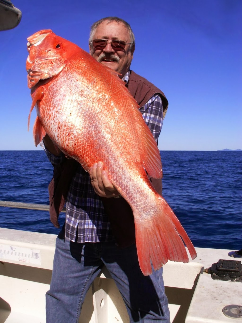 Blownaway Fishing | 8 View St, Brinsmead QLD 4870, Australia | Phone: 0427 649 401