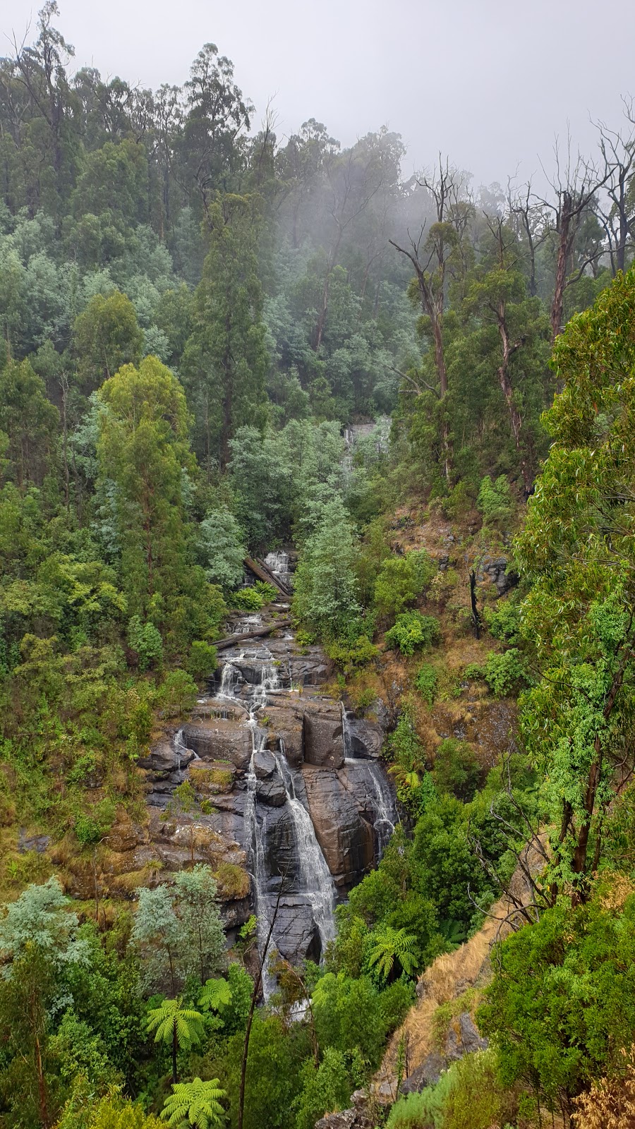 Masons Falls Observation Platform | Kinglake West VIC 3757, Australia | Phone: 13 19 63