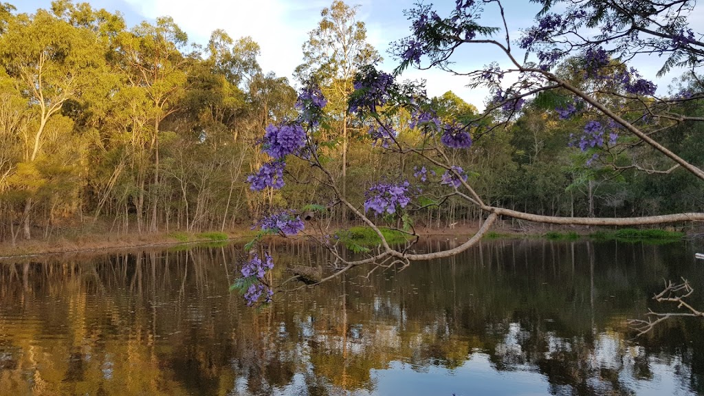 Deep Grey |  | 5 Hilary St, Bahrs Scrub QLD 4207, Australia | 0730900005 OR +61 7 3090 0005