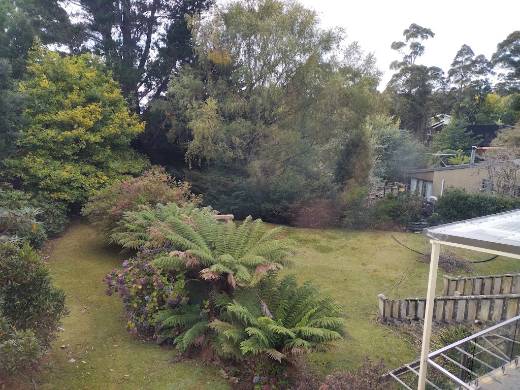 Tree Way Is The Right Way | 7 Southview Cres, New Norfolk TAS 7140, Australia | Phone: 0480 662 907
