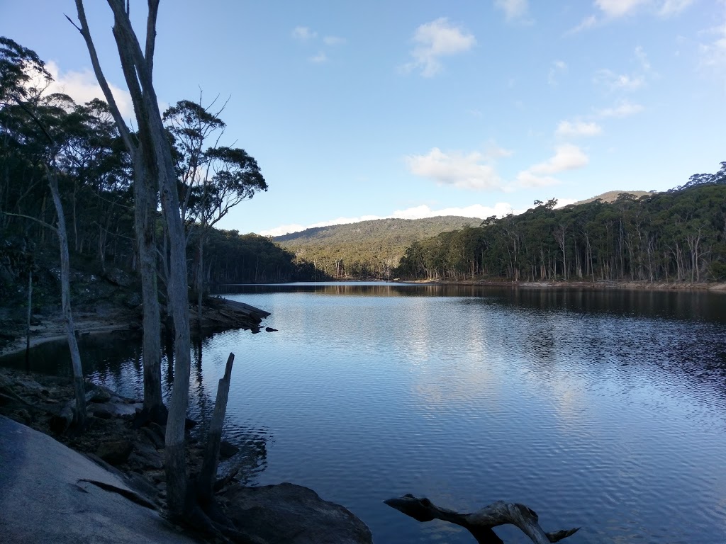 Mount Buangor State Park | park | Ferntree Gully Rd, Raglan VIC 3373, Australia | 131963 OR +61 131963