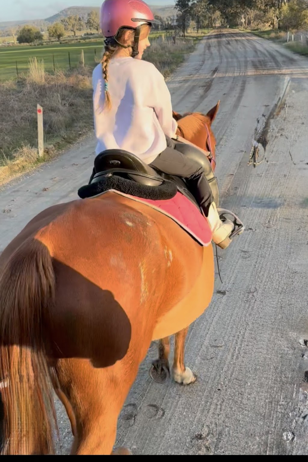 JW Equestrian | 109 Ryans Access Rd, Barnawartha VIC 3688, Australia | Phone: 0418 415 159
