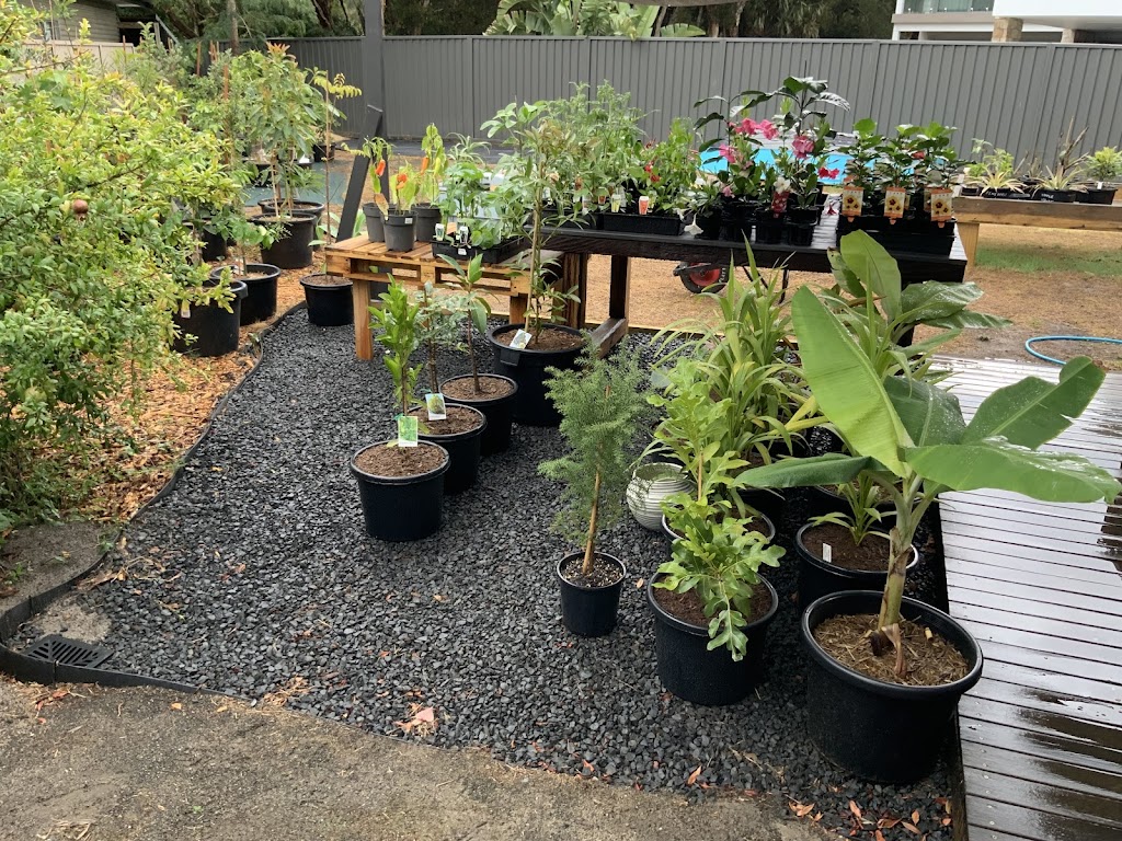 AWABAKAL NURSERY and Landscaping Services | 21 Mimosa Rd, Budgewoi NSW 2262, Australia | Phone: 0488 684 150