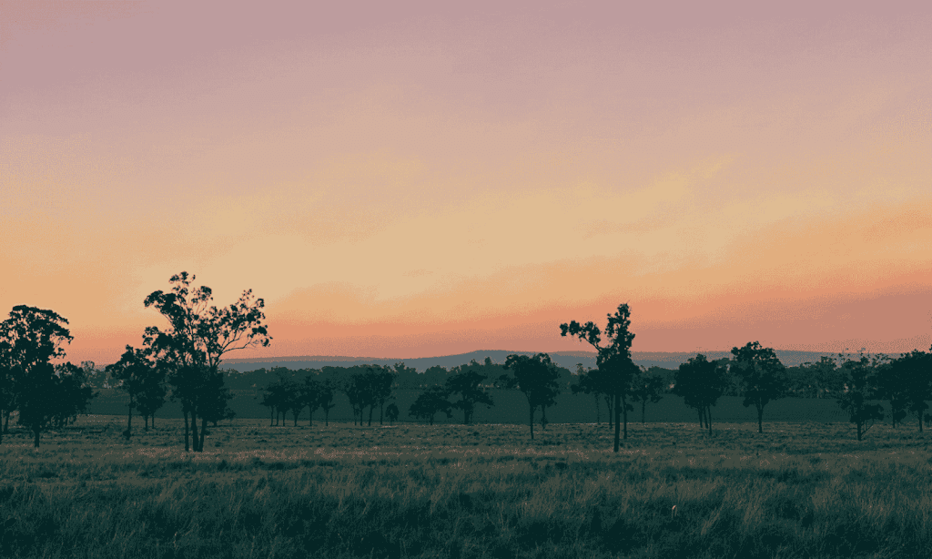 Ellangowan Woolshed | 112 Kyle Rd, Leyburn QLD 4365, Australia | Phone: 0474 044 779
