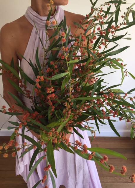 ALESSANDRA PAPAZZO - FLOWERS | florist | 58 Chalmers St, Port Macquarie NSW 2444, Australia | 0401841401 OR +61 401 841 401