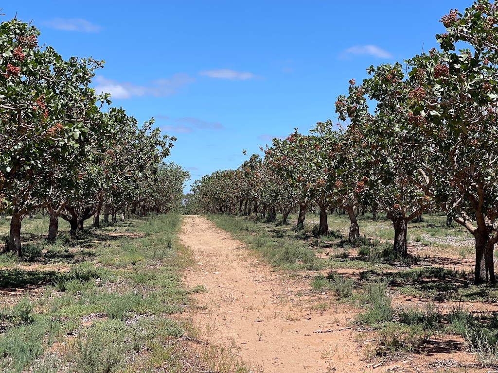 Borse Agro Pty Ltd |  | LOT 123/5003 Murraylands Rd, Fisher SA 5354, Australia | 0435466477 OR +61 435 466 477