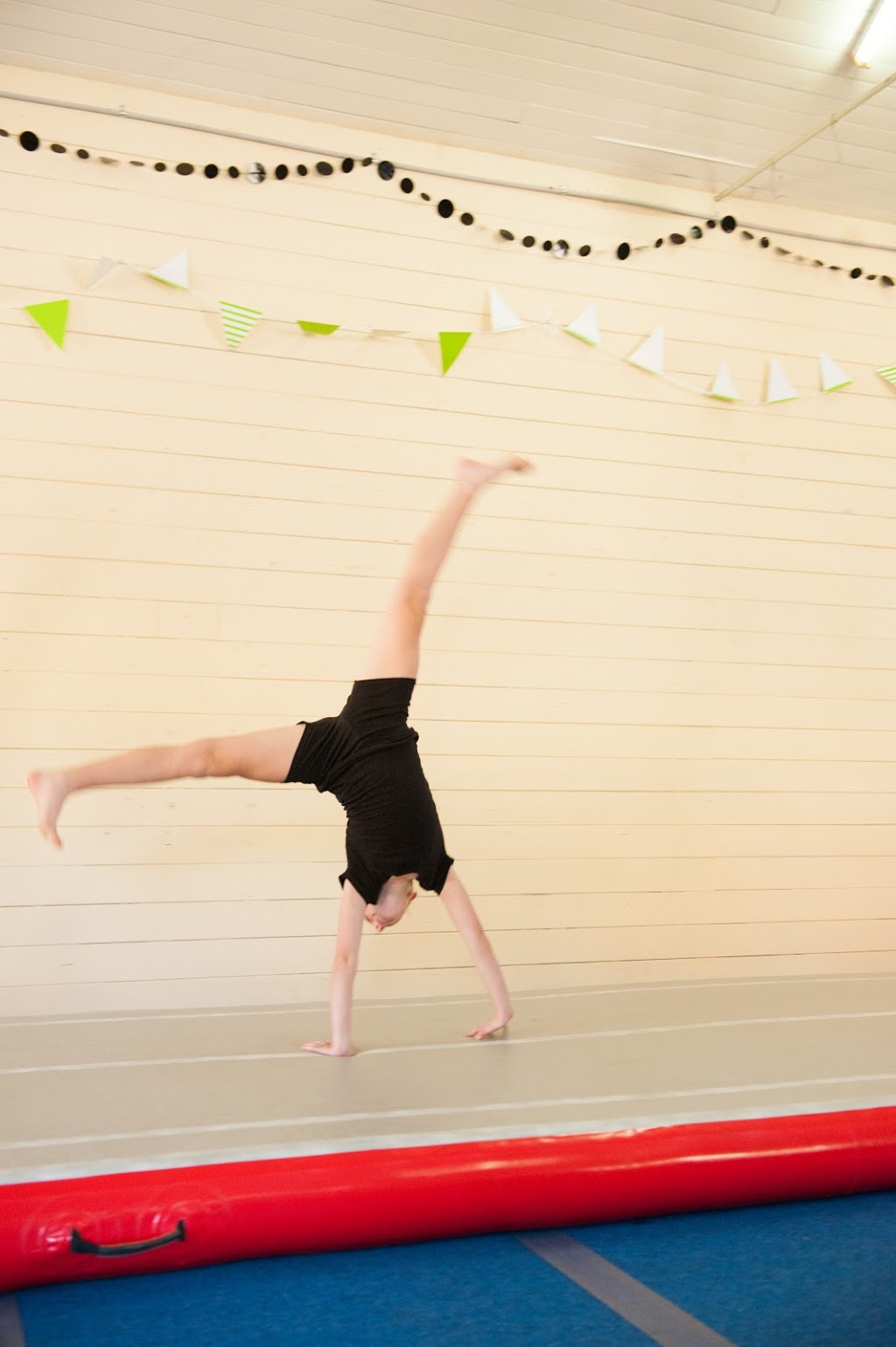 Fassifern Gymnastics Club | Boonah Showgrounds, Macquarie St, Boonah QLD 4310, Australia | Phone: 0414 415 236