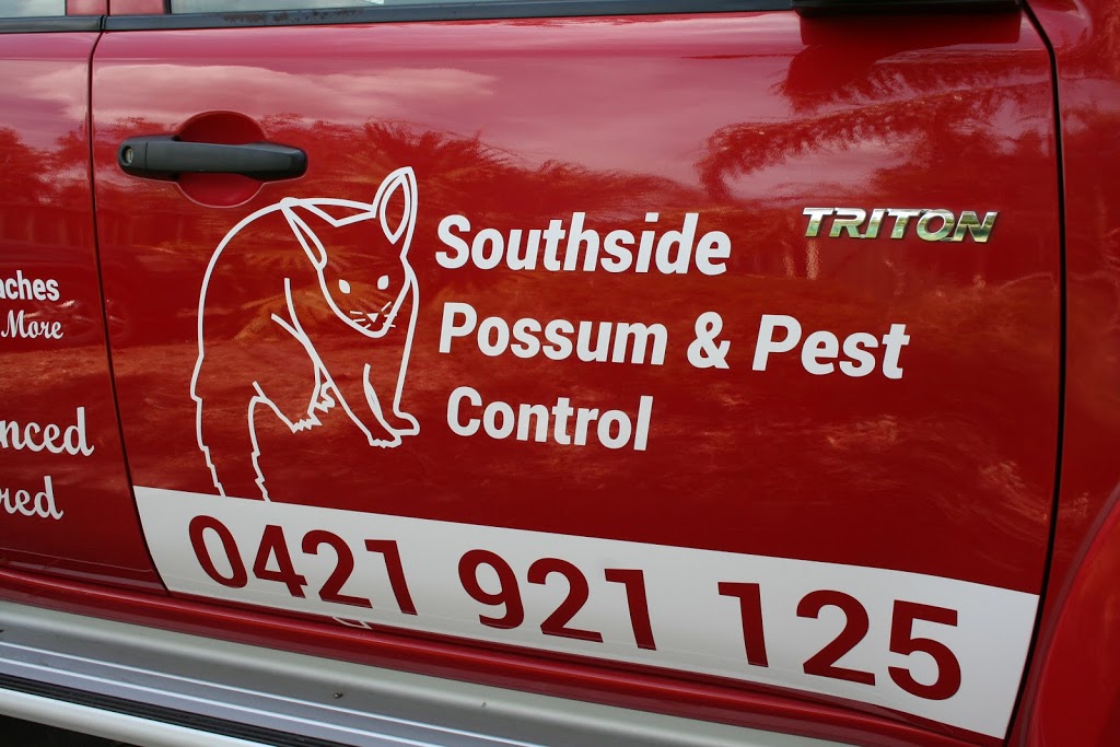 Southside possum and pest control | Goldfinch Ct, Carrum Downs VIC 3201, Australia | Phone: 0421 921 125