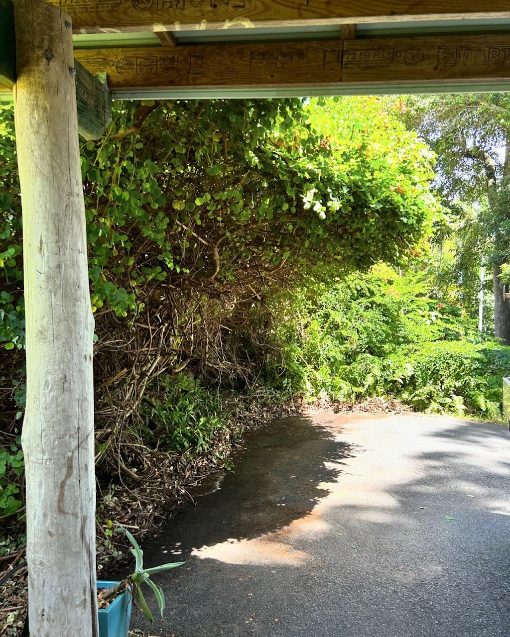 Pepos Gardens | 139 Possum Creek Rd, Bangalow NSW 2479, Australia | Phone: 0413 406 597