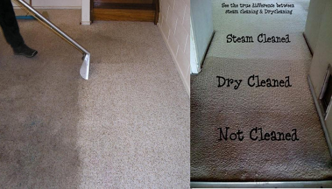 Fresh Carpet Cleaning Melbourne | laundry | 2/44 Songlark Cres, Werribee VIC 3030, Australia | 1300660487 OR +61 1300 660 487