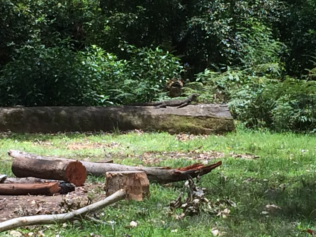Olney State Forest | Olney NSW 2325, Australia | Phone: (02) 9872 0111