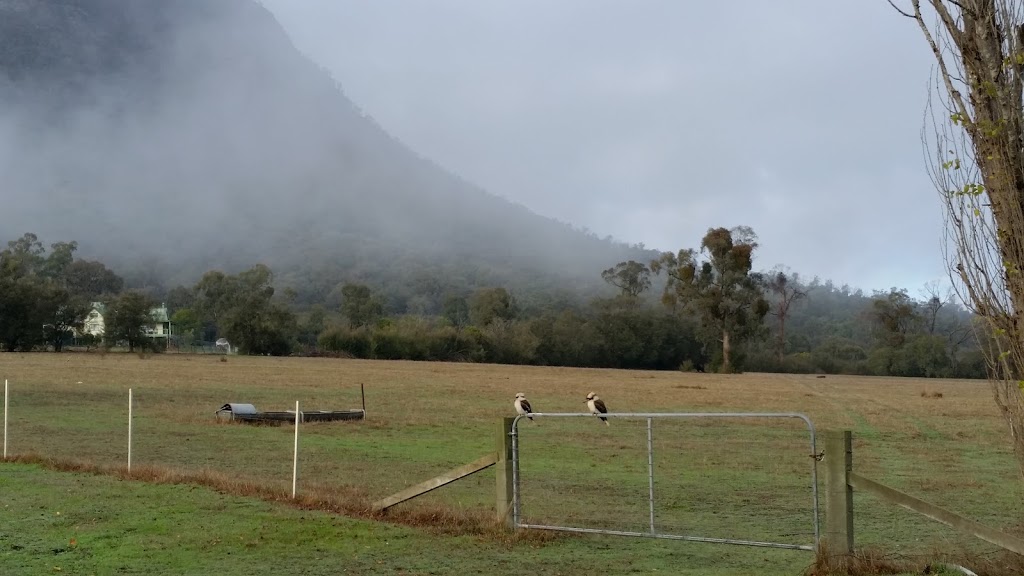 The Misty Mountain | Taggerty VIC 3714, Australia