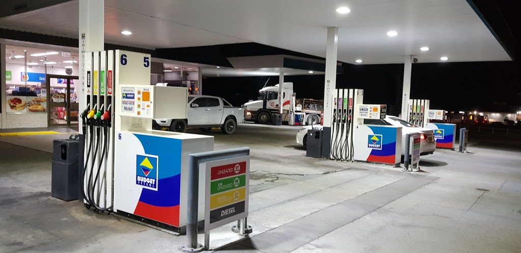 Budget Petrol | gas station | 53 Cnr Sydney Rd and, Common St, Goulburn NSW 2580, Australia | 0248219811 OR +61 2 4821 9811