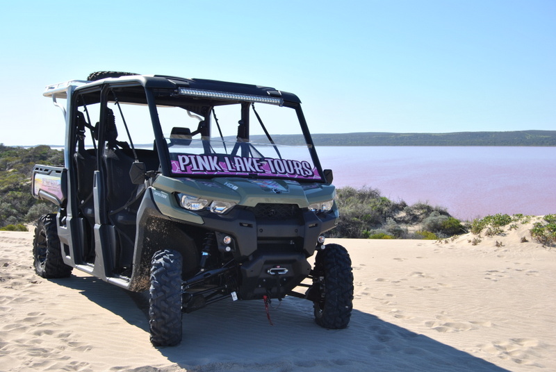 Pink Lake Buggy Tours | 13 Sanford St, Gregory WA 6535, Australia | Phone: (08) 9935 1052