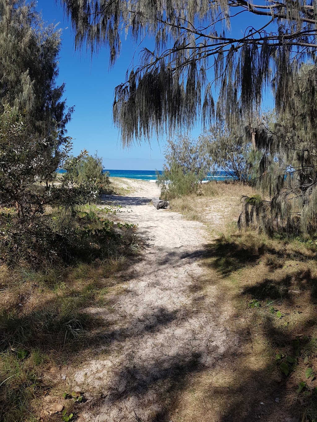 Cumberland st park | park | Amity Point QLD 4183, Australia