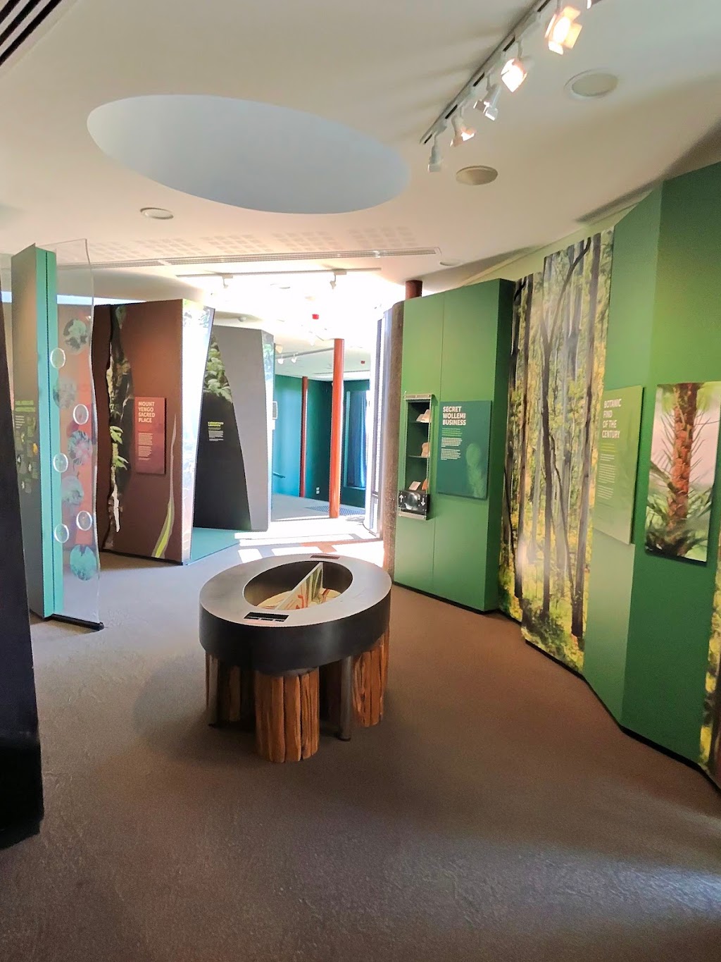 Visitor Centre | Mount Tomah NSW 2758, Australia | Phone: (02) 9231 8111