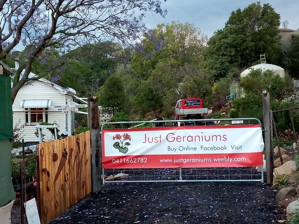 Just Geraniums |  | 39 Berlin Rd, Mount Berryman QLD 4341, Australia | 0411662782 OR +61 411 662 782