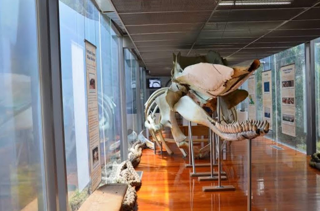 Portland Maritime Discovery Centre | museum | Portland VIC 3305, Australia | 1800035567 OR +61 1800 035 567