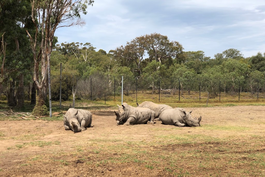 Werribee Open Range Zoo | K Rd, Werribee South VIC 3030, Australia | Phone: 1300 966 784