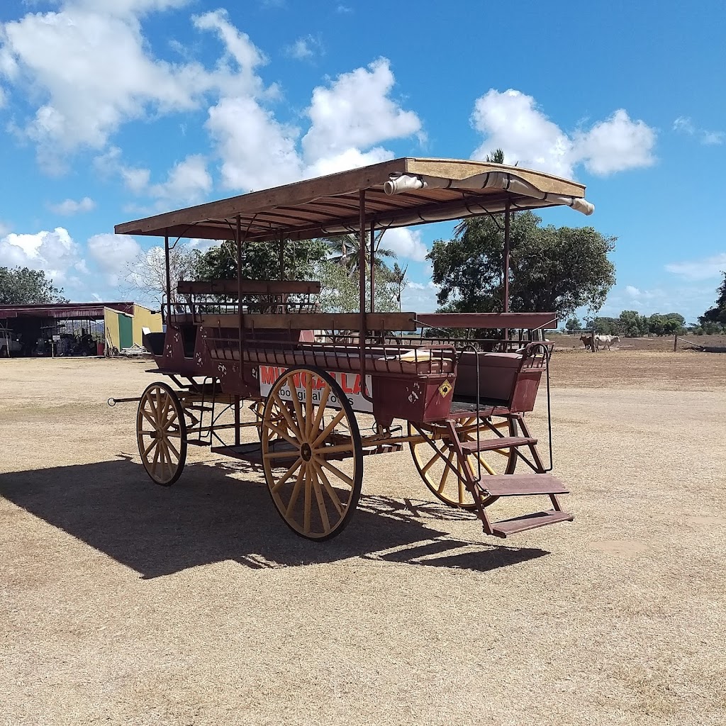 Mungalla Station | tourist attraction | Forrest Beach Rd via Ingham QLD, Forrest Beach QLD 4850, Australia | 0747778718 OR +61 7 4777 8718