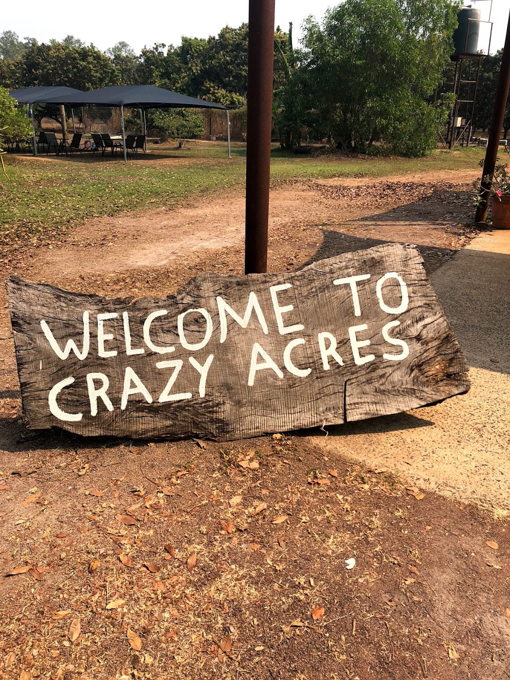 Crazy Acres | 70 Reedbeds Rd, Berry Springs NT 0838, Australia | Phone: 0417 945 837