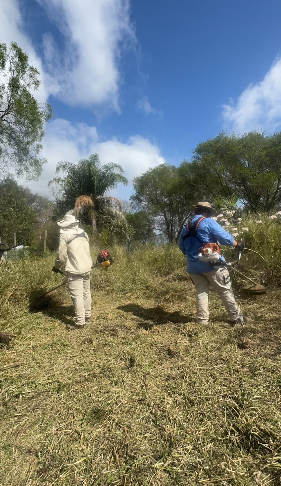 Lou’s Gardening & Landscaping Services | 15 Challenge Ave, Kensington Grove QLD 4341, Australia | Phone: 0424 890 129