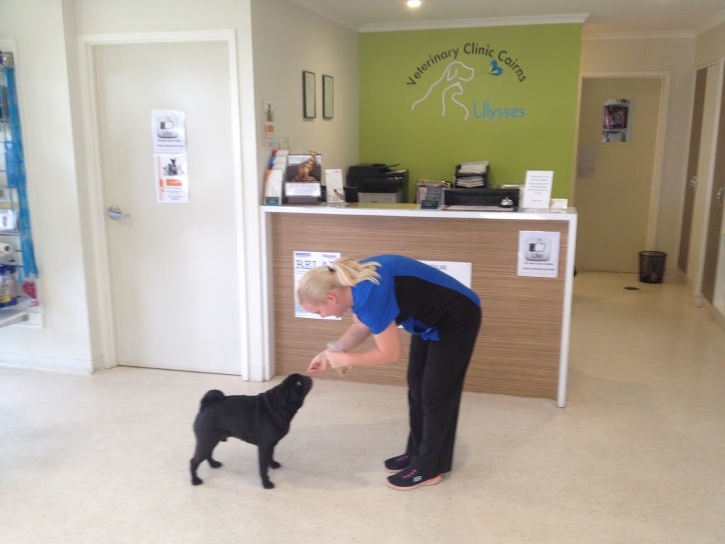 Ulysses Veterinary Clinic Cairns | pet store | 37 Johnston St, Stratford QLD 4870, Australia | 0740551100 OR +61 7 4055 1100