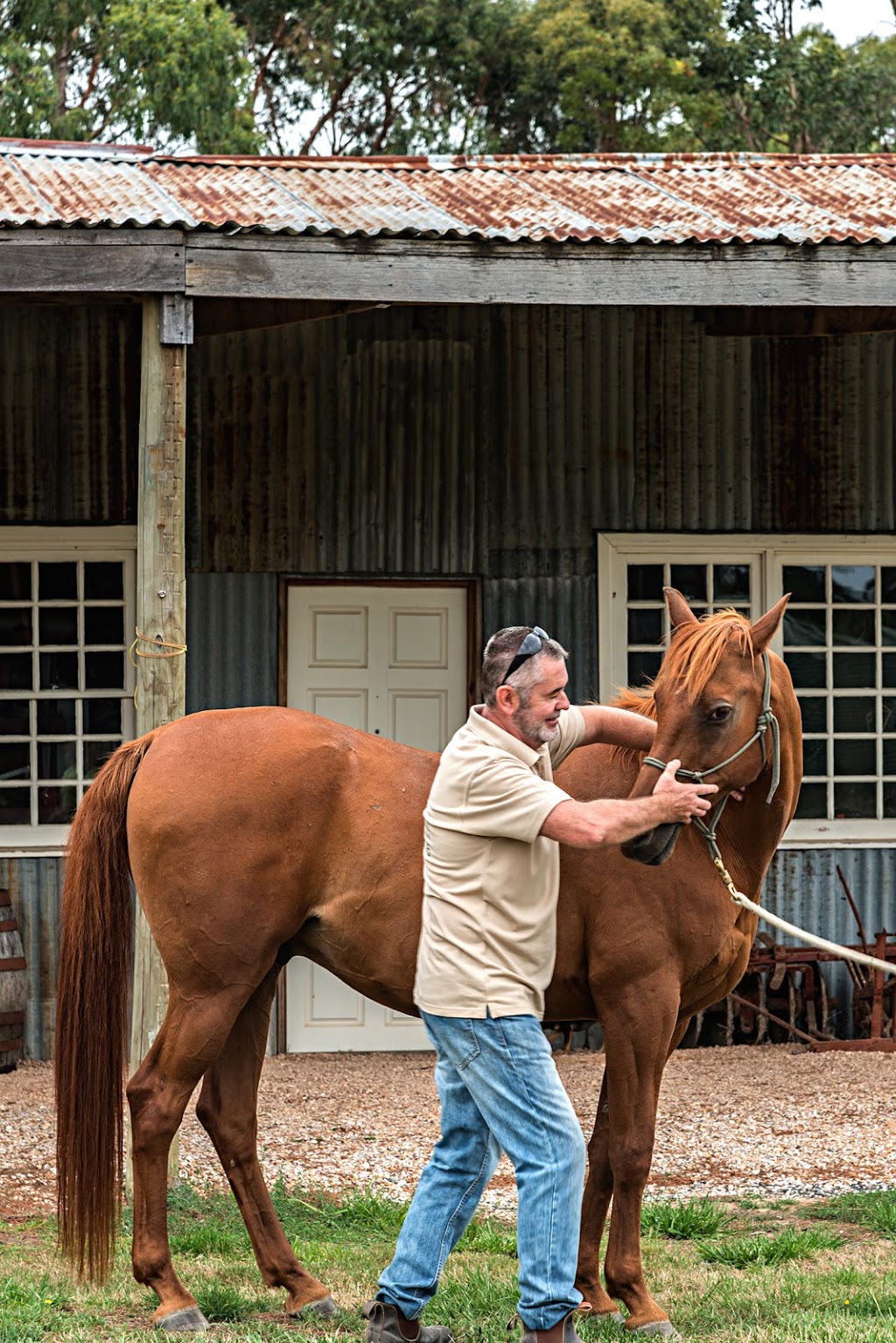 Ranges Animal Biomechanical Medicine | health | 66 Wisemans Ln, Newham VIC 3442, Australia | 0459055245 OR +61 459 055 245