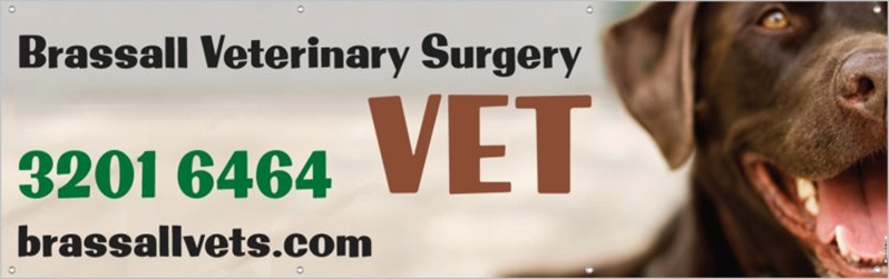 Dr Craig R Smith BVsc MVSc MACVSc - Brassall Veterinary Surgery | pharmacy | 17 Hunter St, Brassall QLD 4305, Australia | 0732016464 OR +61 7 3201 6464