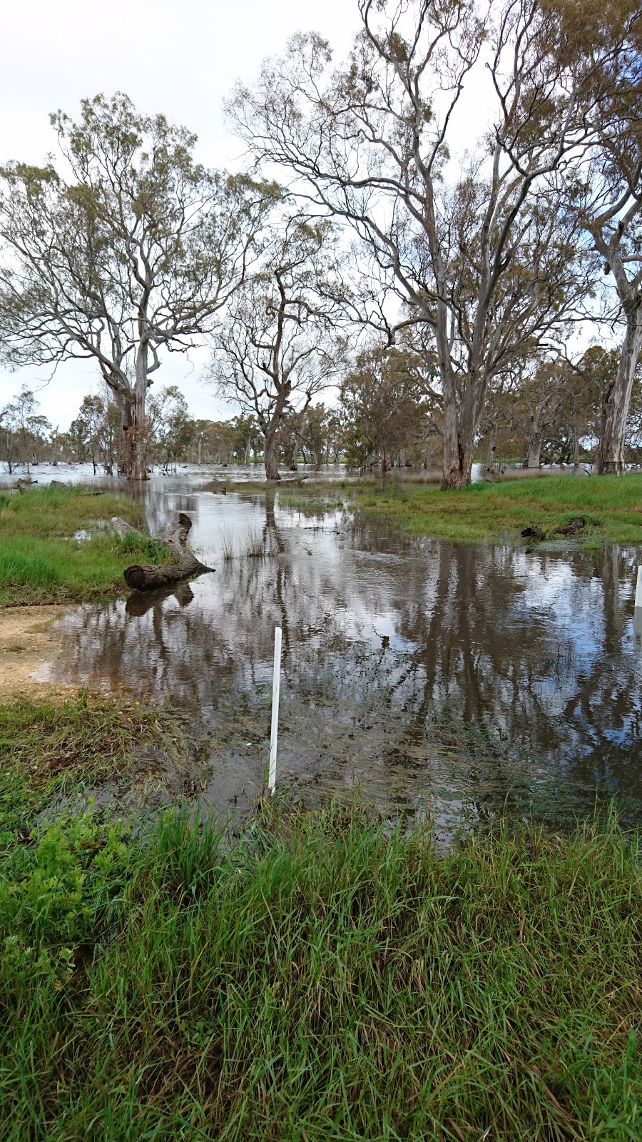 Mullinger Swamp W.R. | Benayeo VIC 3319, Australia | Phone: 13 19 63