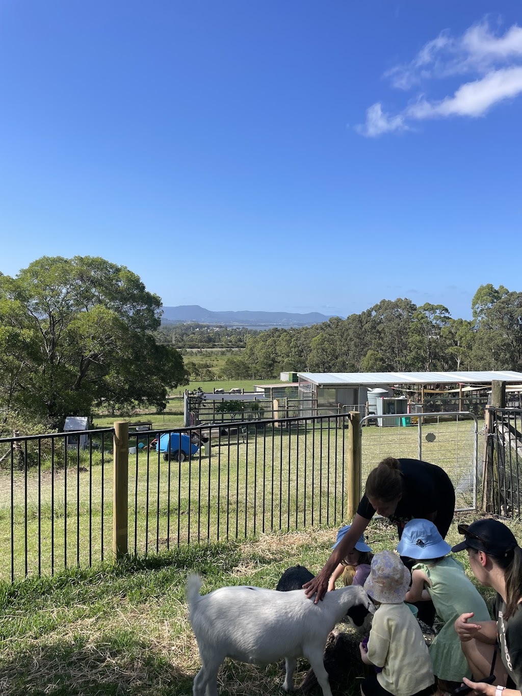 Calm The Farm Albion Park | 83 East West Link, Croom NSW 2527, Australia | Phone: 0402 241 933