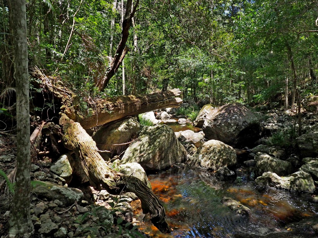 Gheerulla Falls | park | Gheerulla QLD 4574, Australia