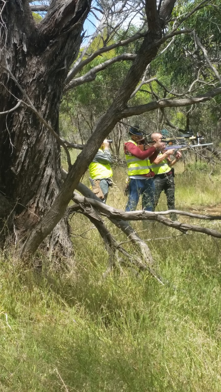 Great Southern Archers | 75 Forrest Rd, Strathalbyn SA 5255, Australia | Phone: 0420 265 056