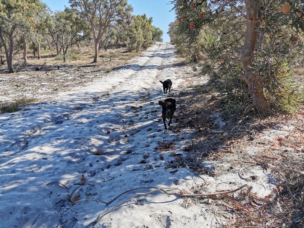 Jandakot National Park | park | Acourt Rd, Banjup WA 6164, Australia