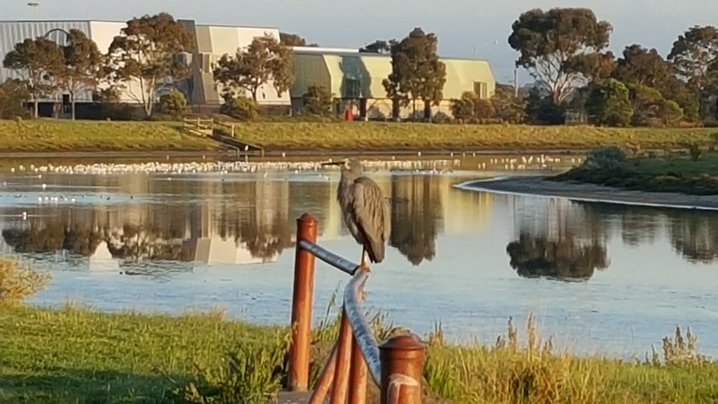 Cheetham Wetlands | Altona Meadows VIC 3028, Australia | Phone: 13 19 63