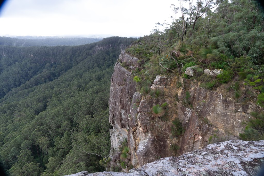 Newbys Lookout | tourist attraction | Lansdowne Forest NSW 2430, Australia | 0265524097 OR +61 2 6552 4097