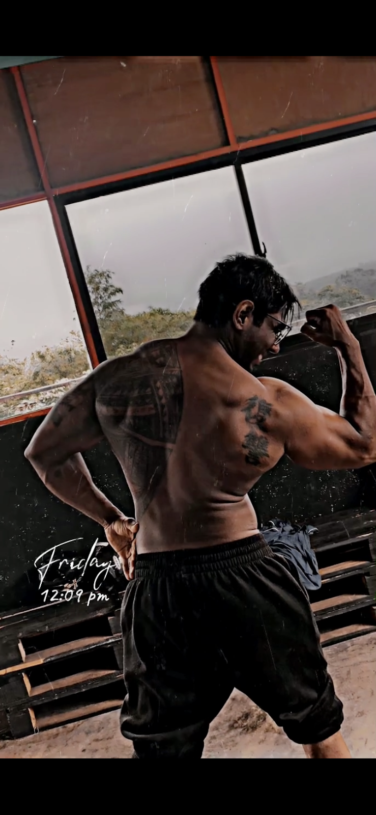 GreekGods bodybuilding | Chesterfield Rd, Somerville VIC 3912, Australia | Phone: 0400 735 117