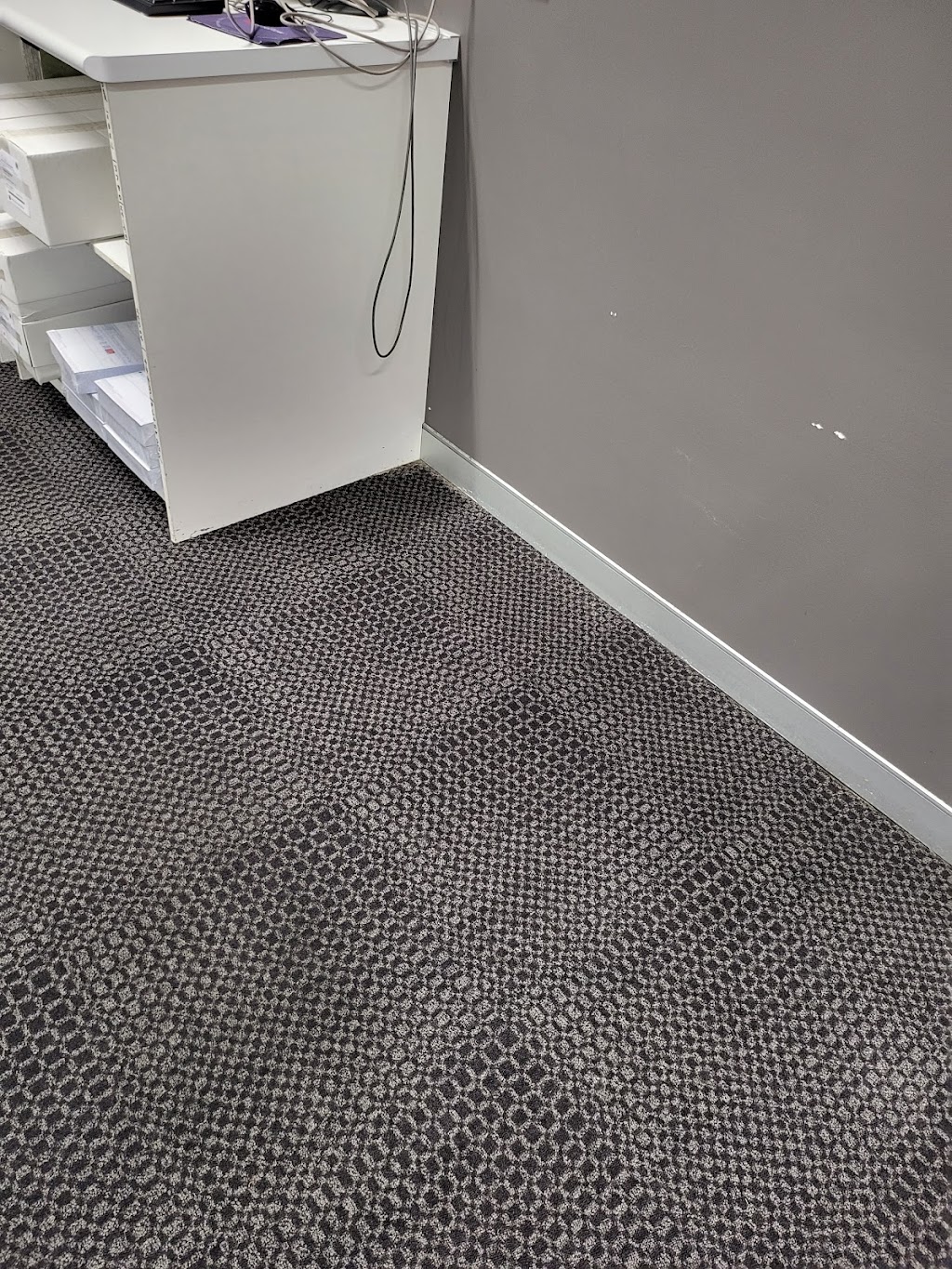 ProLion Floor Care Pty Ltd | laundry | 9 Tulipwood Dr, Colyton NSW 2760, Australia | 0411169565 OR +61 411 169 565