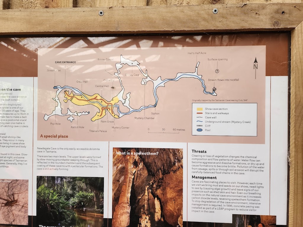 Hastings Caves Entrance | Hastings TAS 7109, Australia | Phone: (03) 6298 3209