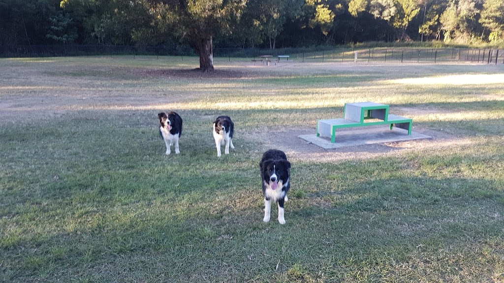 Augustine Heights Dog Park | park | 25 Bathersby Cres, Augustine Heights QLD 4300, Australia
