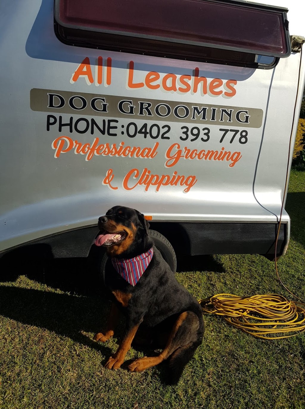 All Leashes Mobile Dog Grooming |  | Victoria Ave, Pottsville NSW 2489, Australia | 0402393778 OR +61 402 393 778